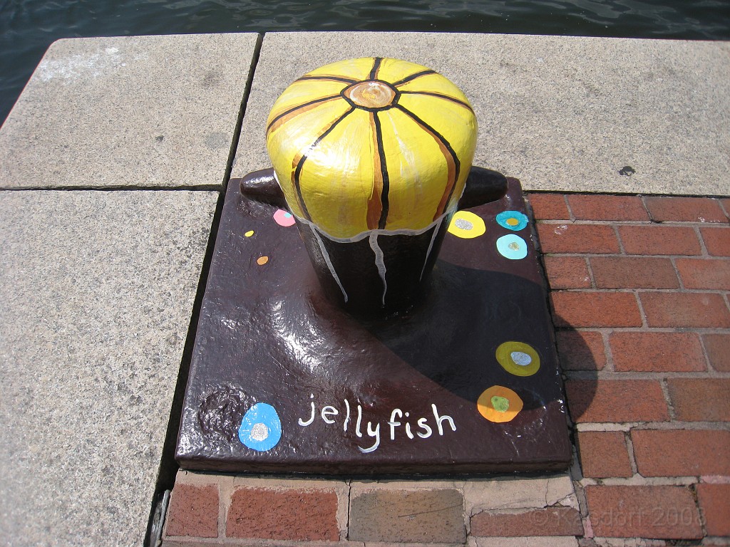 Baltimore MD 2009 0570.jpg - A 4th of July trip to Washington DC in 2009 included a stop in Baltimore MD to see the National Aquarium.